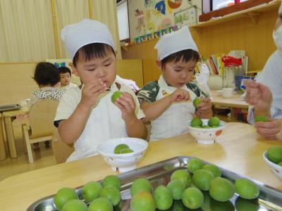 夏に備えて「梅シロップ」作り